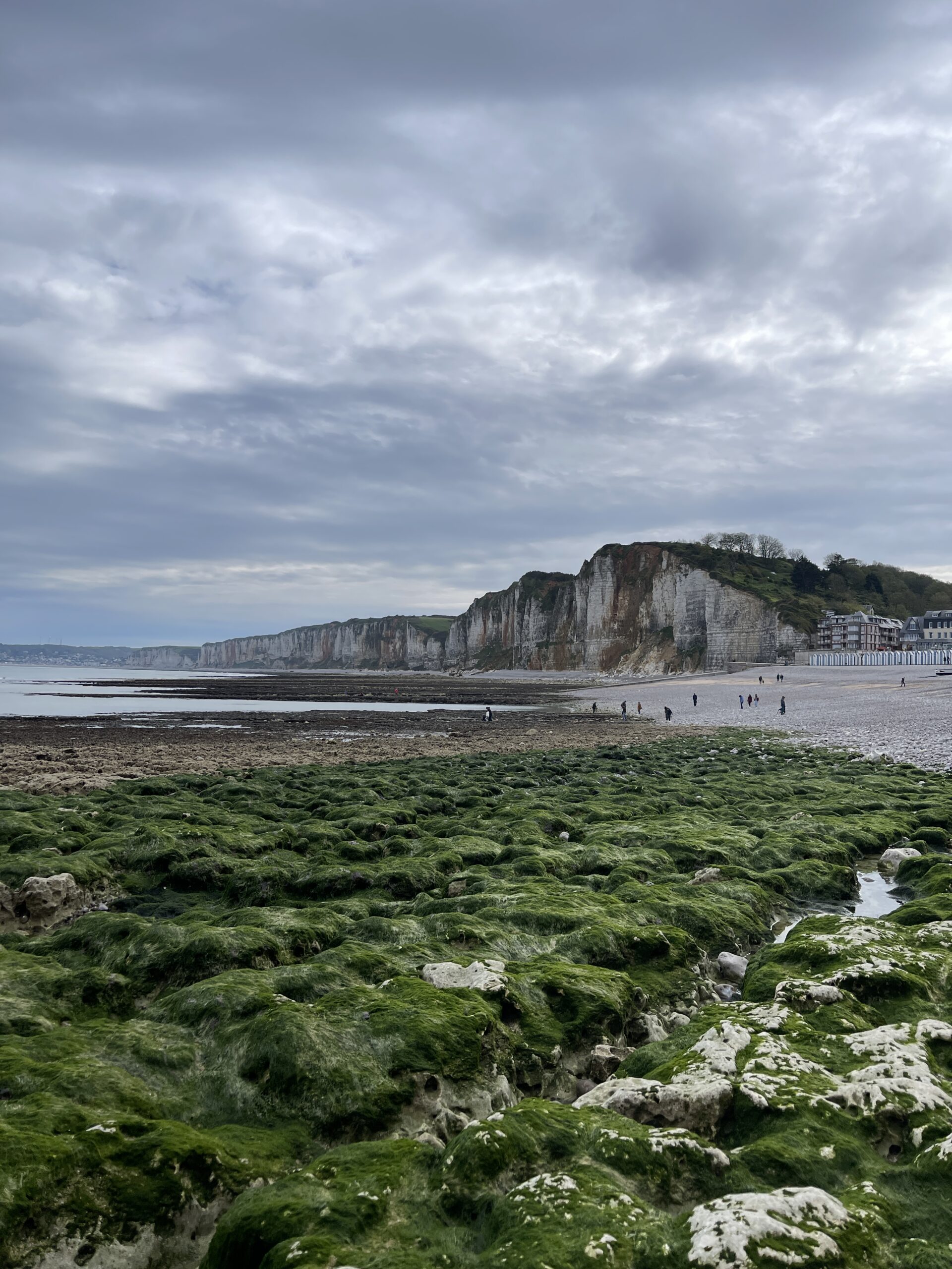 Falaises de Yport